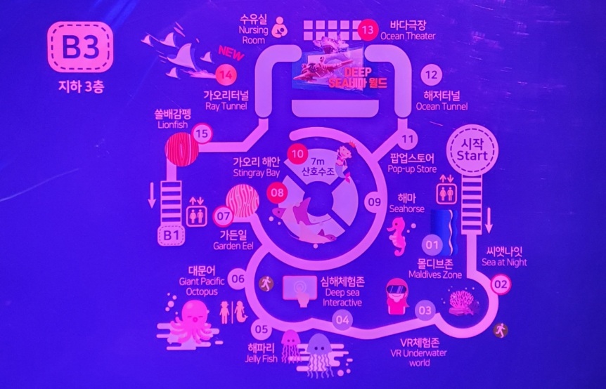 맵정보