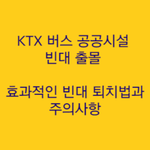  KTX 버스 공공시설 빈대 출몰 효과적인 빈대 퇴치법과 주의사항