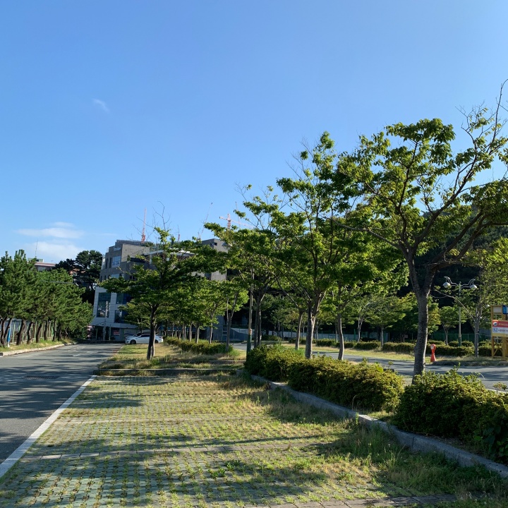  부산 태종대 다누비열차 요금과 휴무일, 주차장 위치, 야간 차량개방