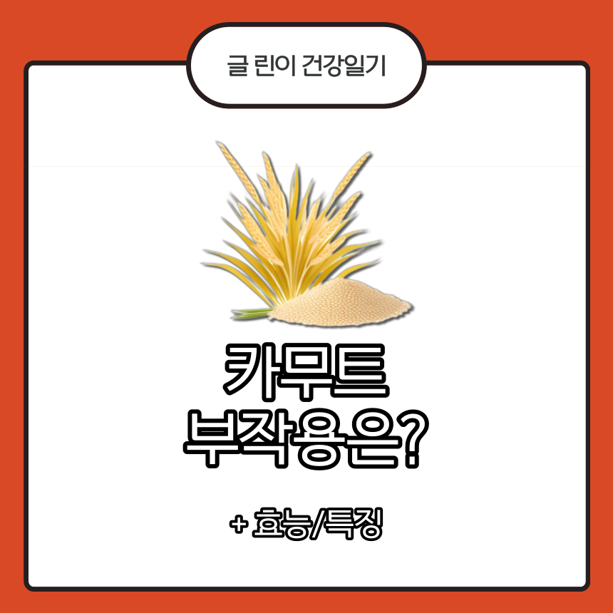  카무트 부작용은?