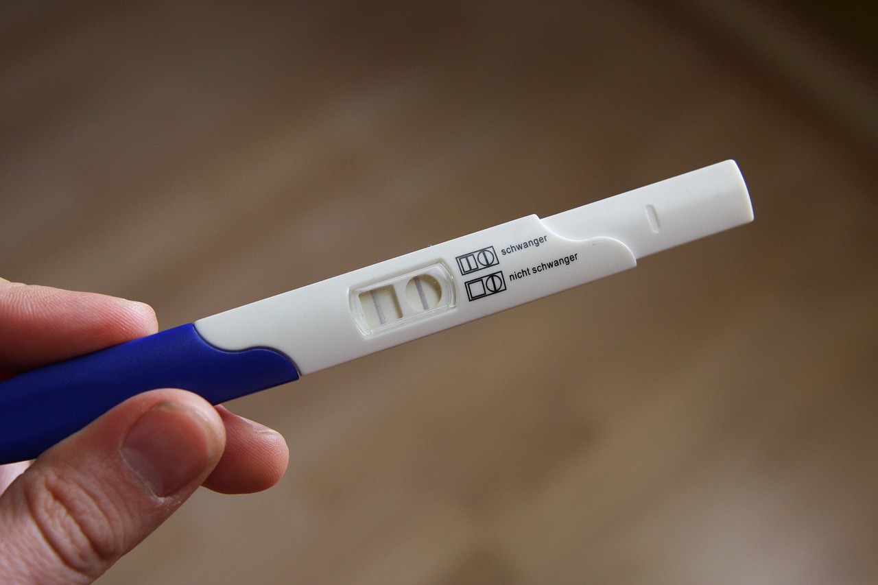 임신-테스트기