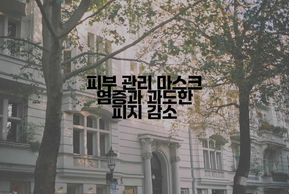 피부 관리 마스크 염증과 과도한 피지 감소