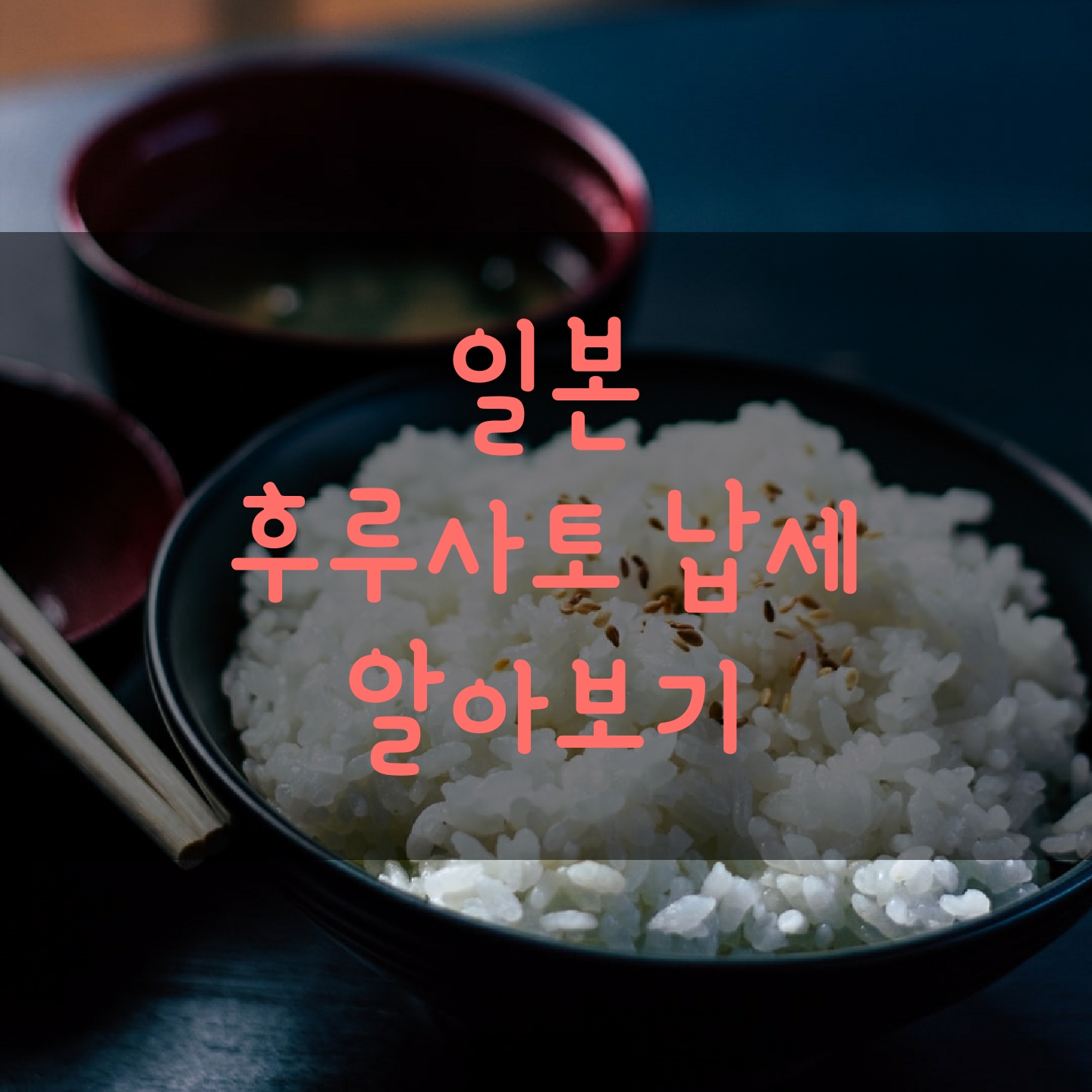  후루사토 납세 (고향납세) 알아보기 [일본세금]
