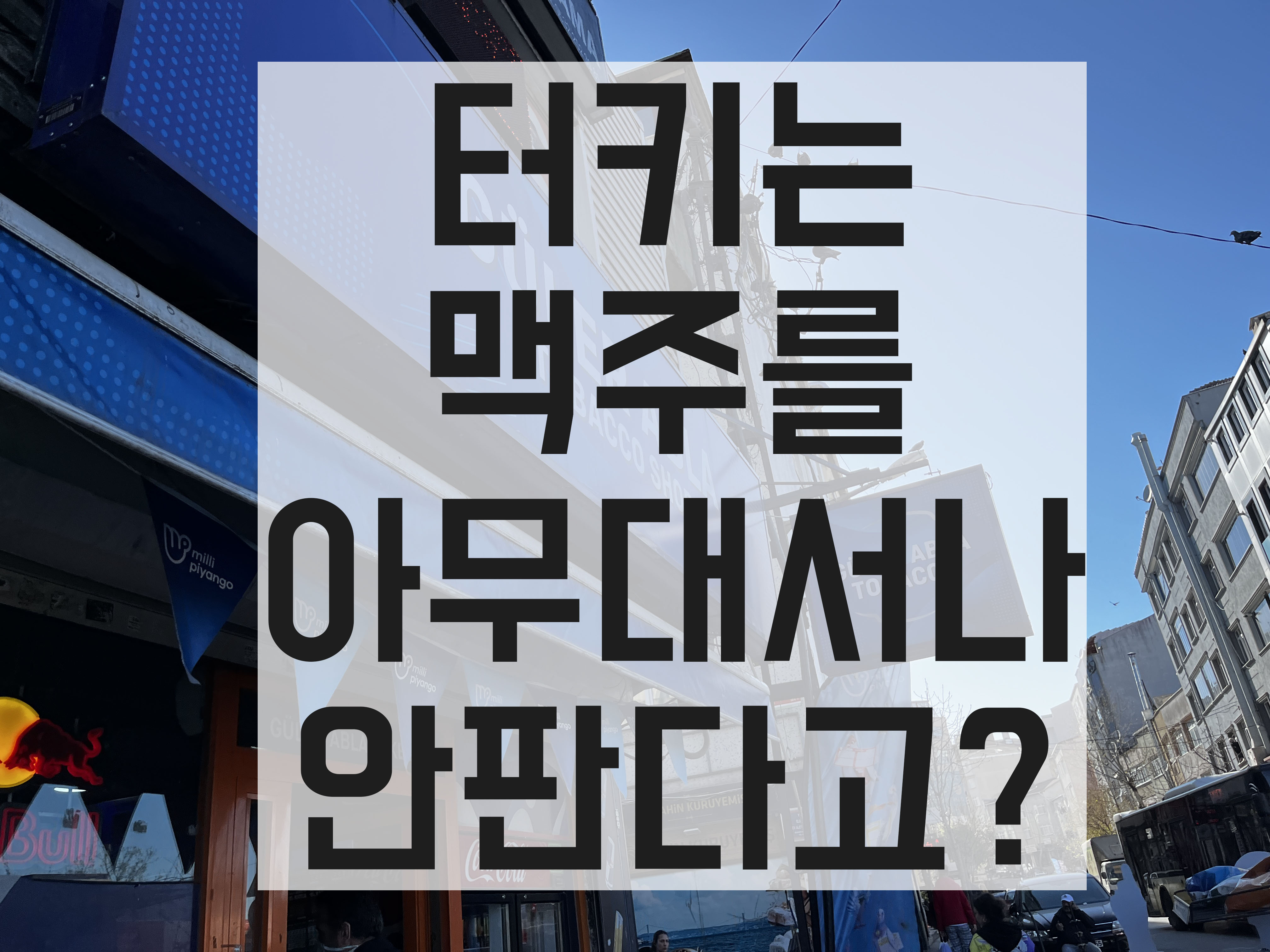  터키 맥주 에페스 필스너 파는곳과 맛 리뷰