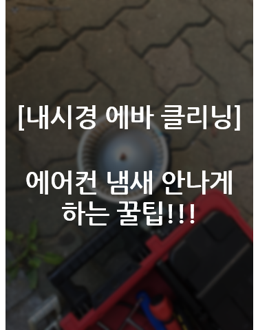  [내시경 에바 클리닝] i30 - 에어컨 냄새 안나게 하는 꿀팁!!!