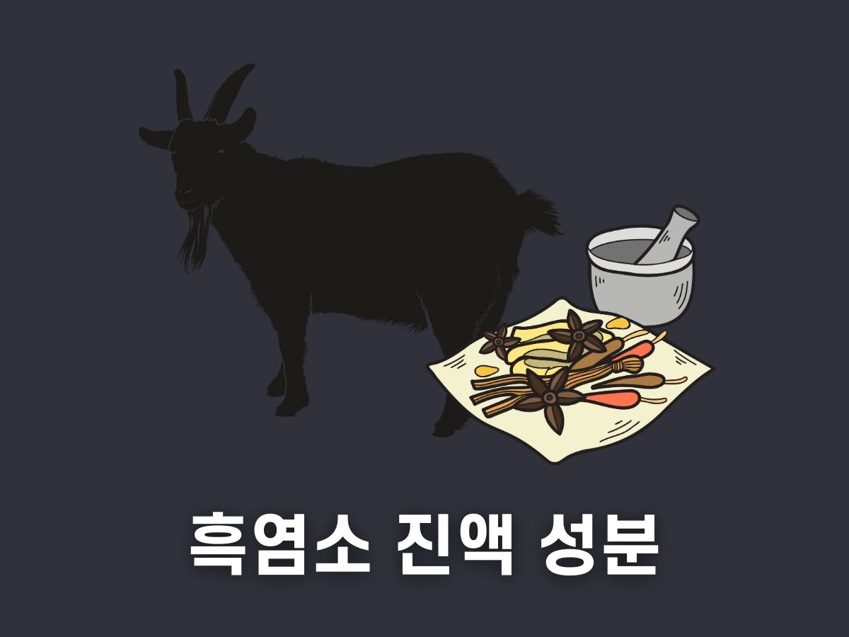 흑염소 진액 성분