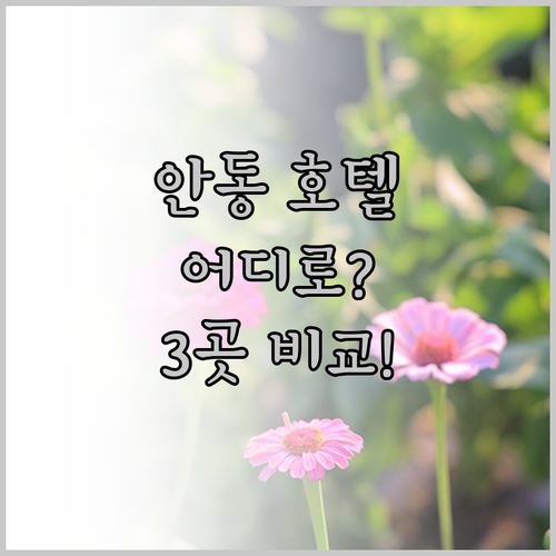 안동 호텔 어디로 갈까? 브라운도트,