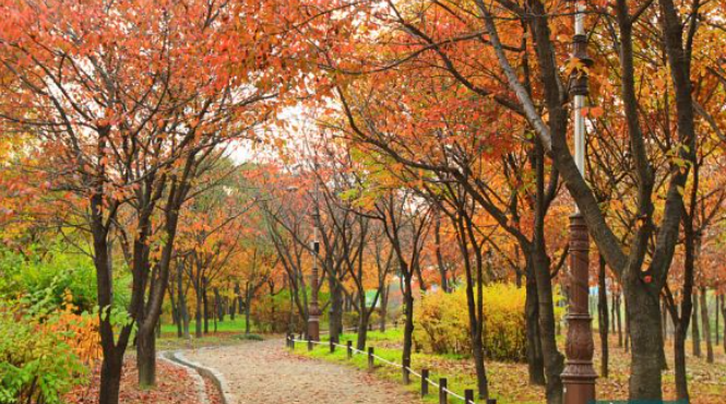 11월 대전 가볼만한곳/국내 가을 갈만한곳 여행지 추천/데이트 여행 가족 나들이 당일치기 무료 볼거리