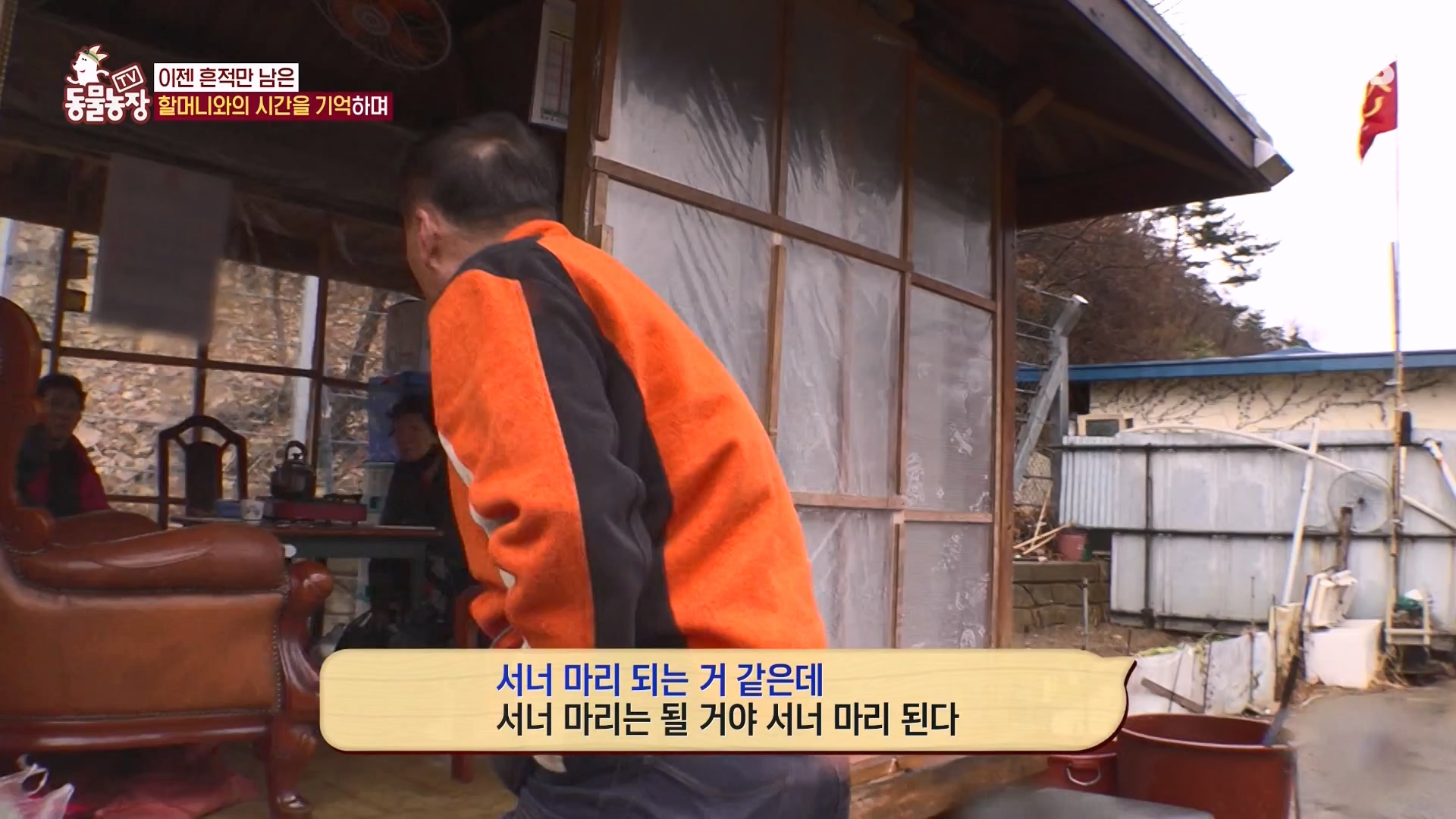 TV 동물농장.E1162.240310p-NEXT.mp4_20240310_162847.171.jpg