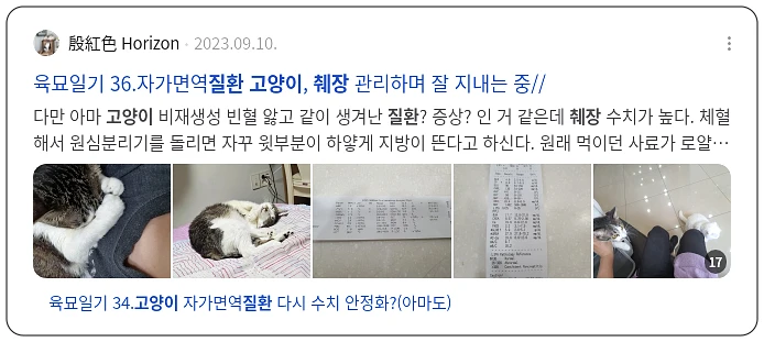 고양이 췌장 질환_2_subsection