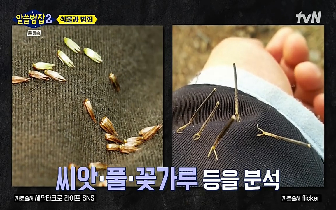 알쓸범잡 2.E15.220425p-NEXT.mp4_20220425_175217.832.jpg
