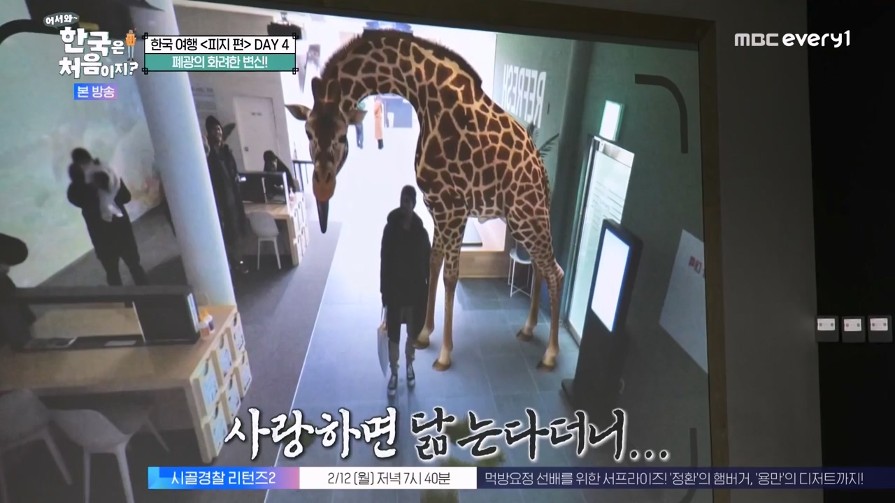 어서와 한국은 처음이지 시즌2.E301.240209p-NEXT.mp4_20240209_173101.584.jpg