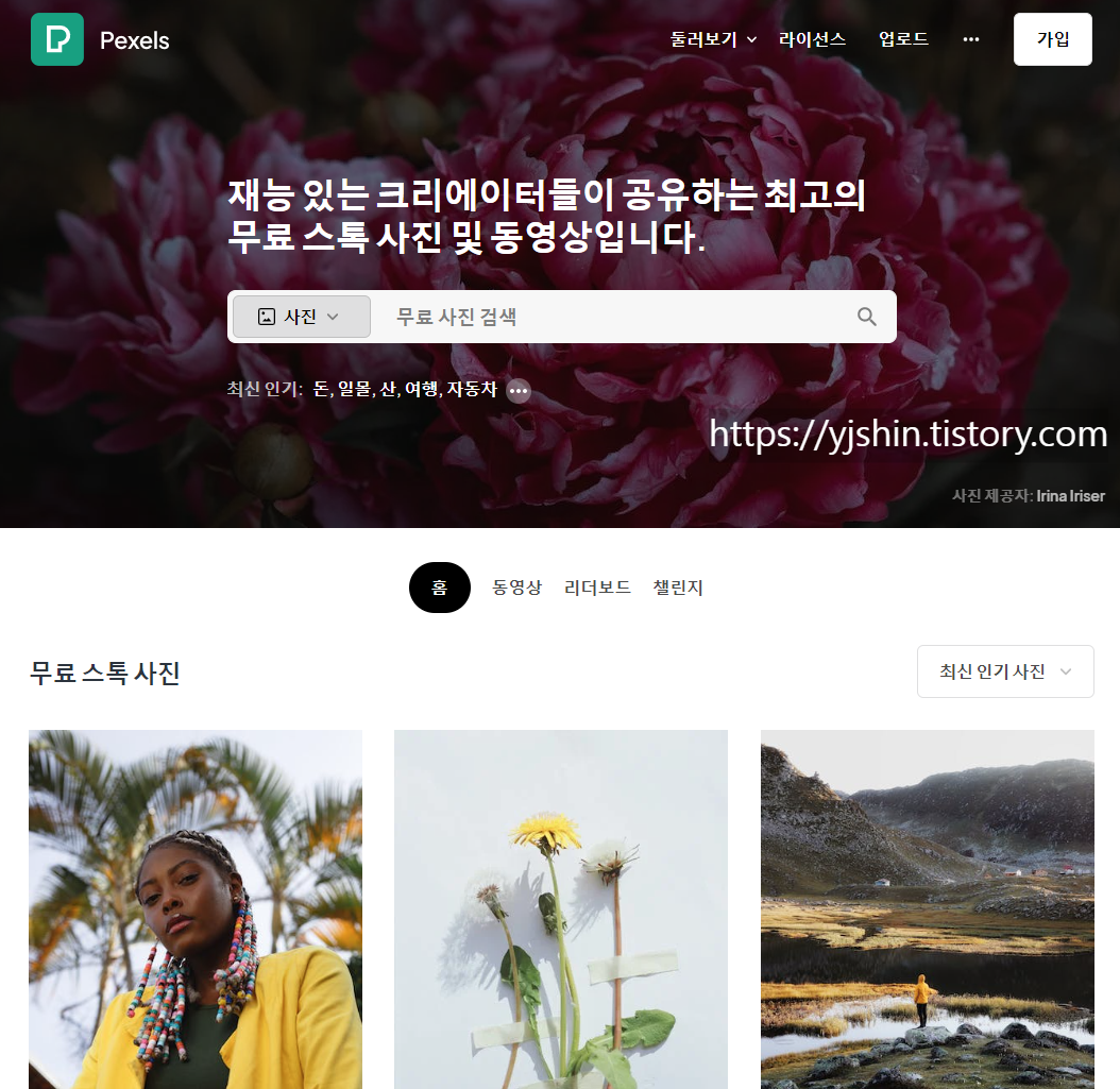  무료 동영상 다운로드 사이트 - 저작권 없는 영상