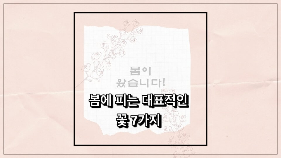 봄에피는대표적이꼿7가지