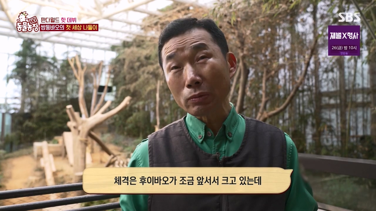 TV 동물농장.E1155.240122p-NEXT.mp4_20240121_145939.709.jpg