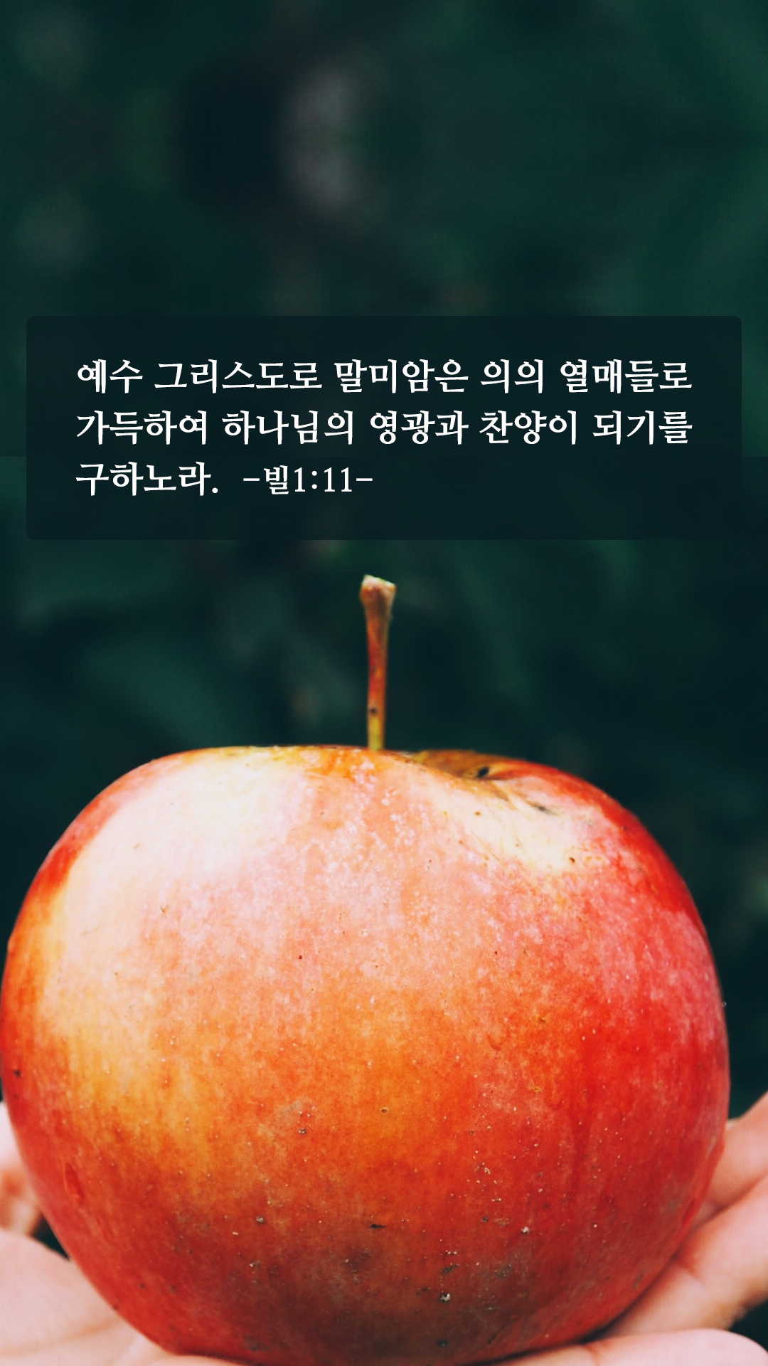 좋은 성경구절