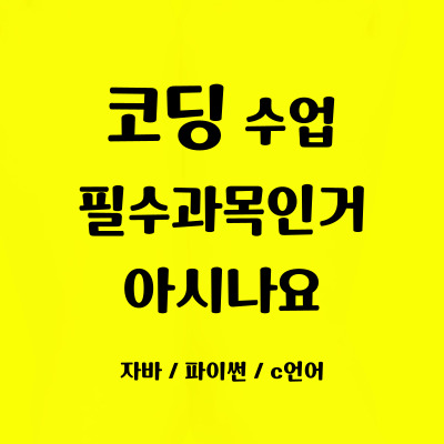  도마교 초등학생 코딩과외 도마교동 일대일 중학생 코딩학원 방학특강 사고력 자바스크립트 파이썬 필수과목