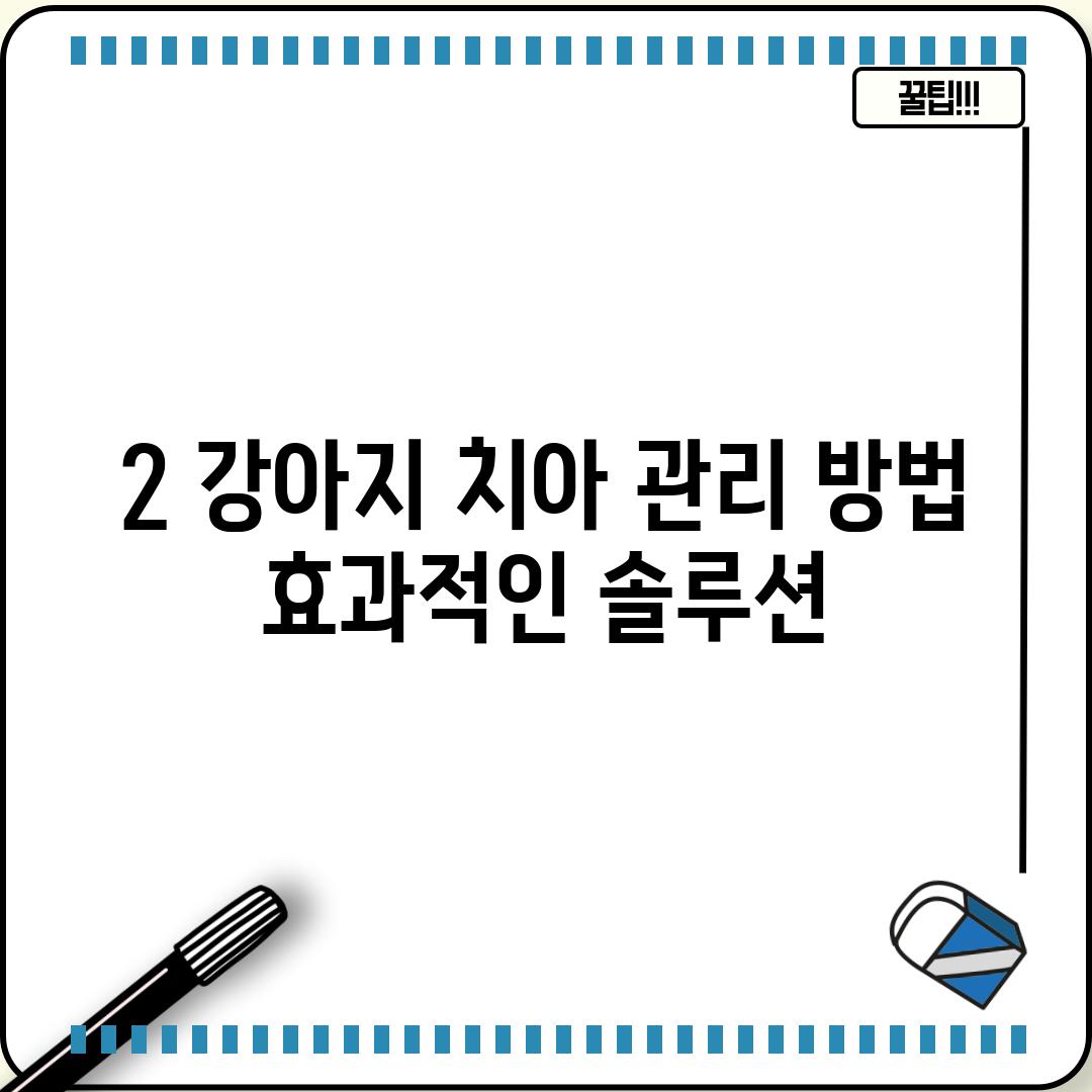 2. 강아지 치아 관리 방법: 효과적인 솔루션