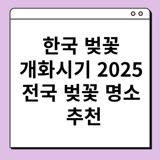 한국 벚꽃 개화시기 2025: 전국 벚꽃 명소 추천 6