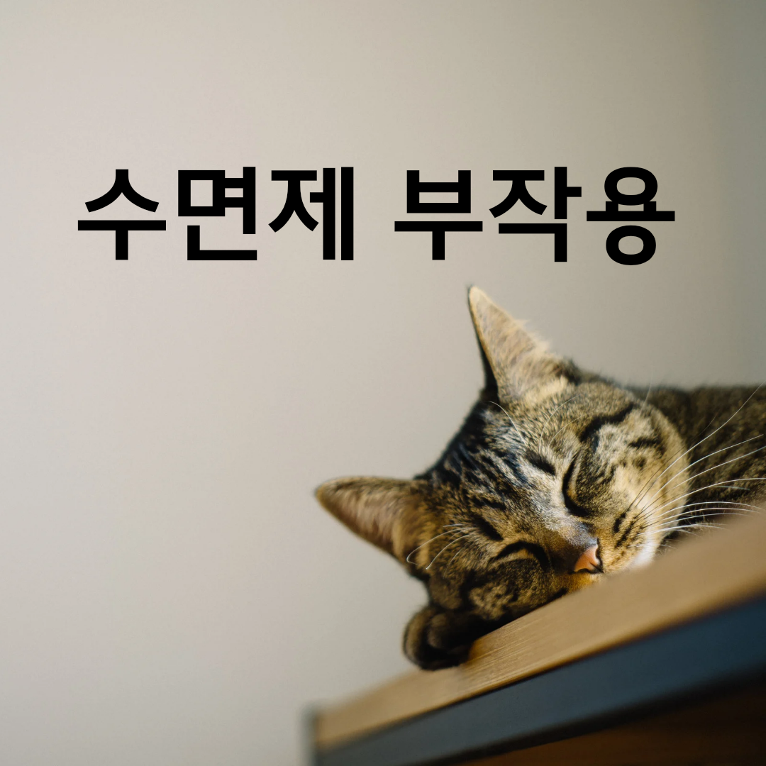  수면제 종류/ 과다복용 /장기복용 부작용