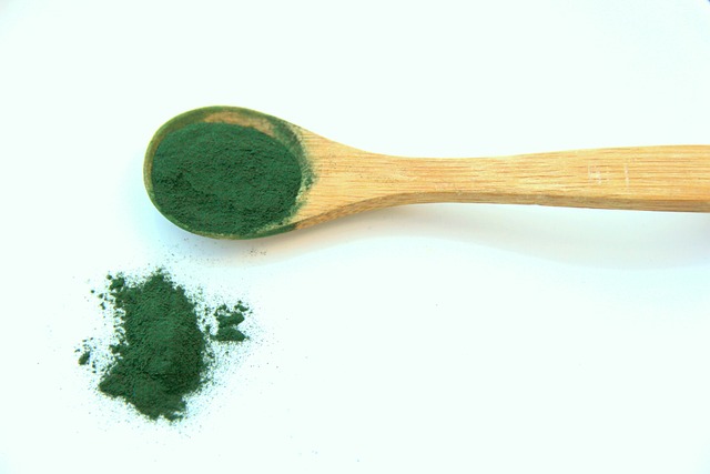 스피루리나(Spirulina)의 효능과 활용 및 채취 방법