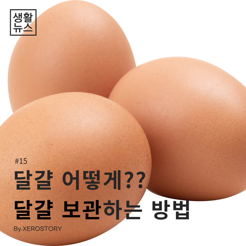  생활건강#15 달걀 올바르게 보관하는방법은?? -달걀 보관법-