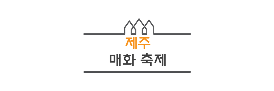 제주-매화축제