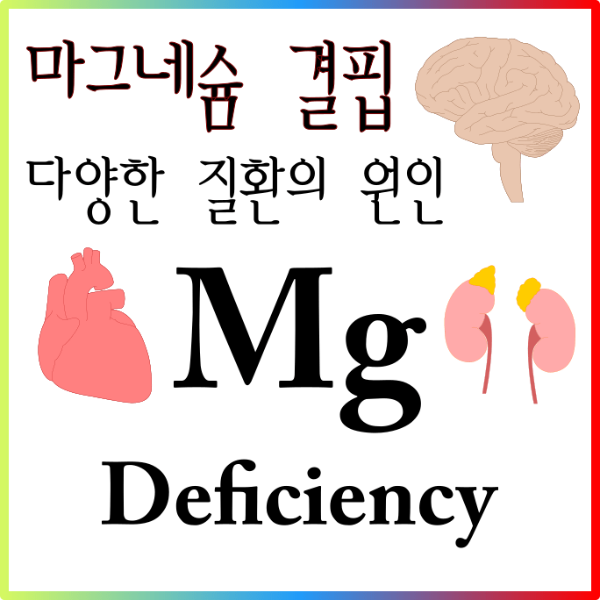 magnesium-deficiency-brain-heart-kidney