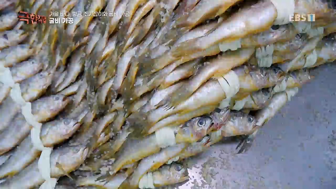 TV - 교육의 중심 EBS가을 바다 황금 조기잡이와 굴비 가공.mp4_20221122_195444.073.jpg