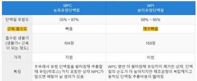 단백질 보충제 추천
