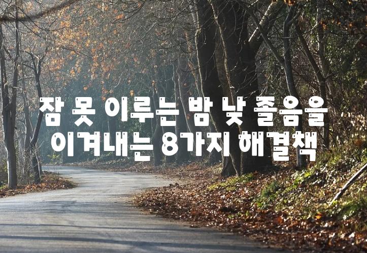 잠 못 이루는 밤 낮 졸음을 이겨내는 8가지 해결책