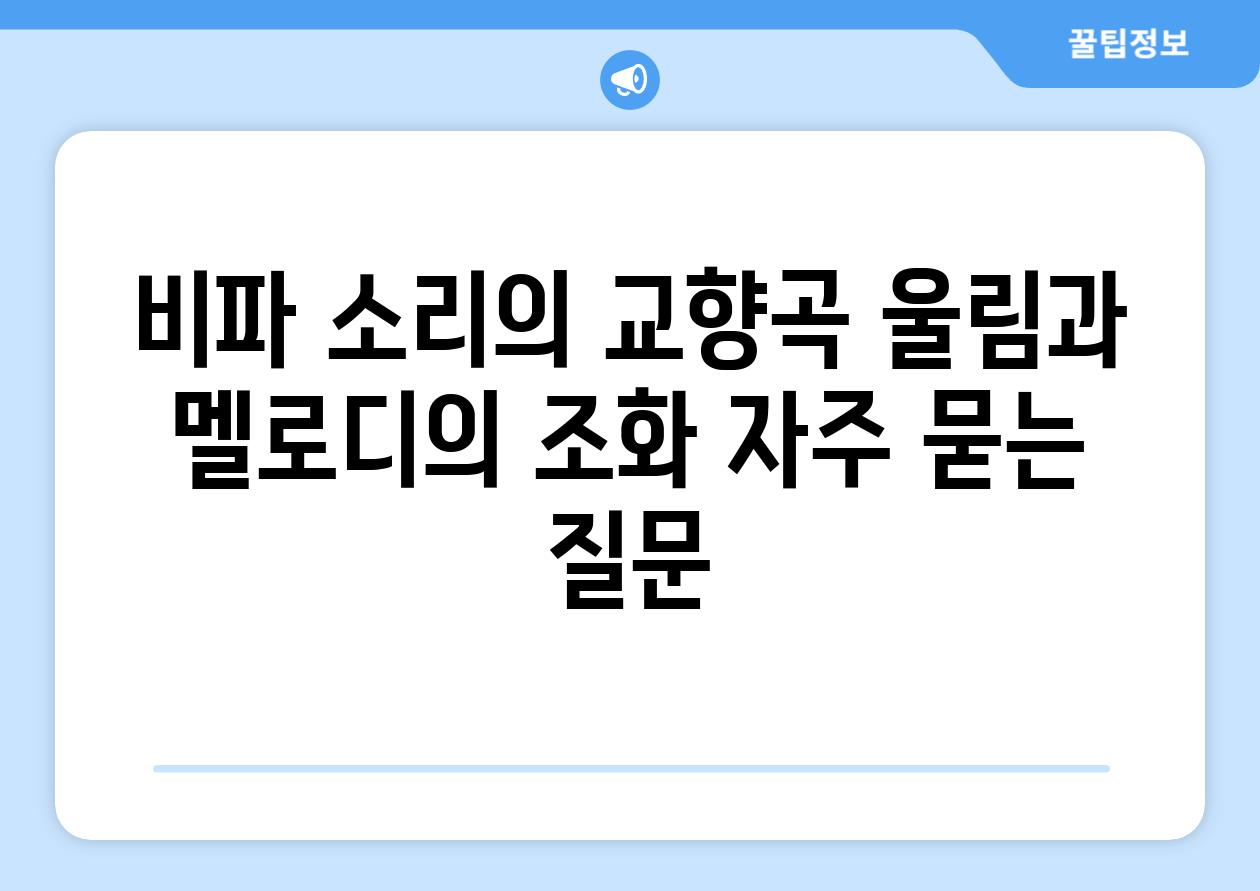 비파, 소리의 교향곡: 울림과 멜로디의 조화