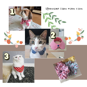  마크세크 연습 하러가기