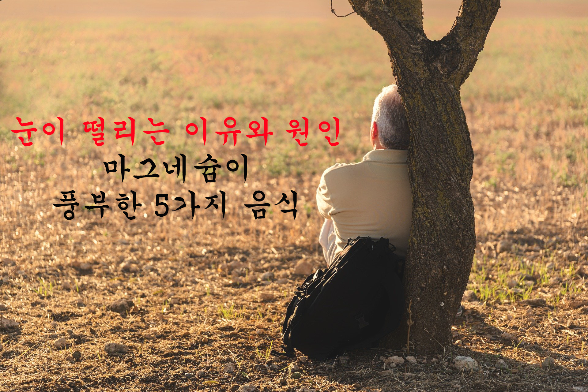  눈이 떨리는 이유와 원인 - 마그네슘이 풍부한 5가지 음식