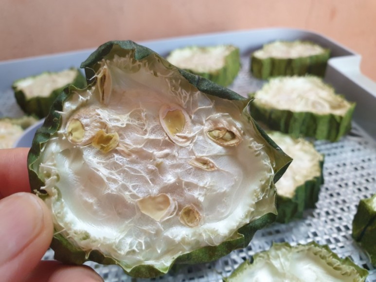 수세미 차코로나시대에 관심받고있는 19