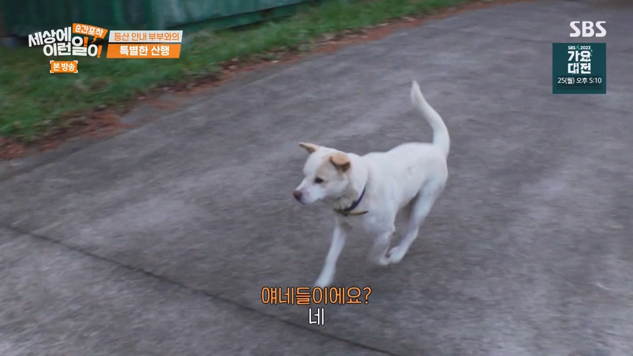순간포착 세상에 이런일이.E1256.231217p-NEXT.mp4_20231217_175013.731.jpg