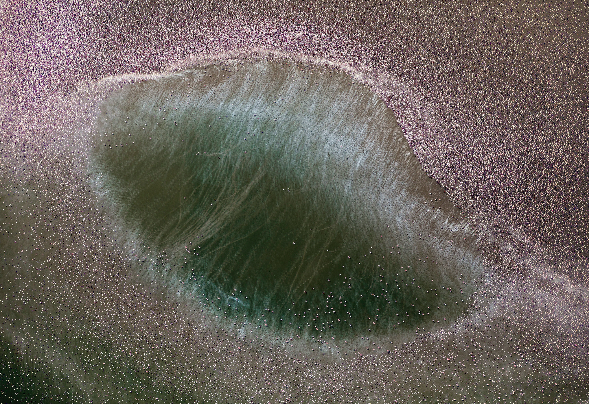 img.jpg