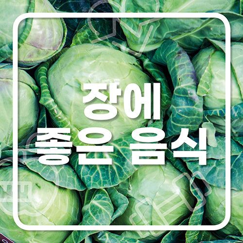  장 건강에 좋은 음식