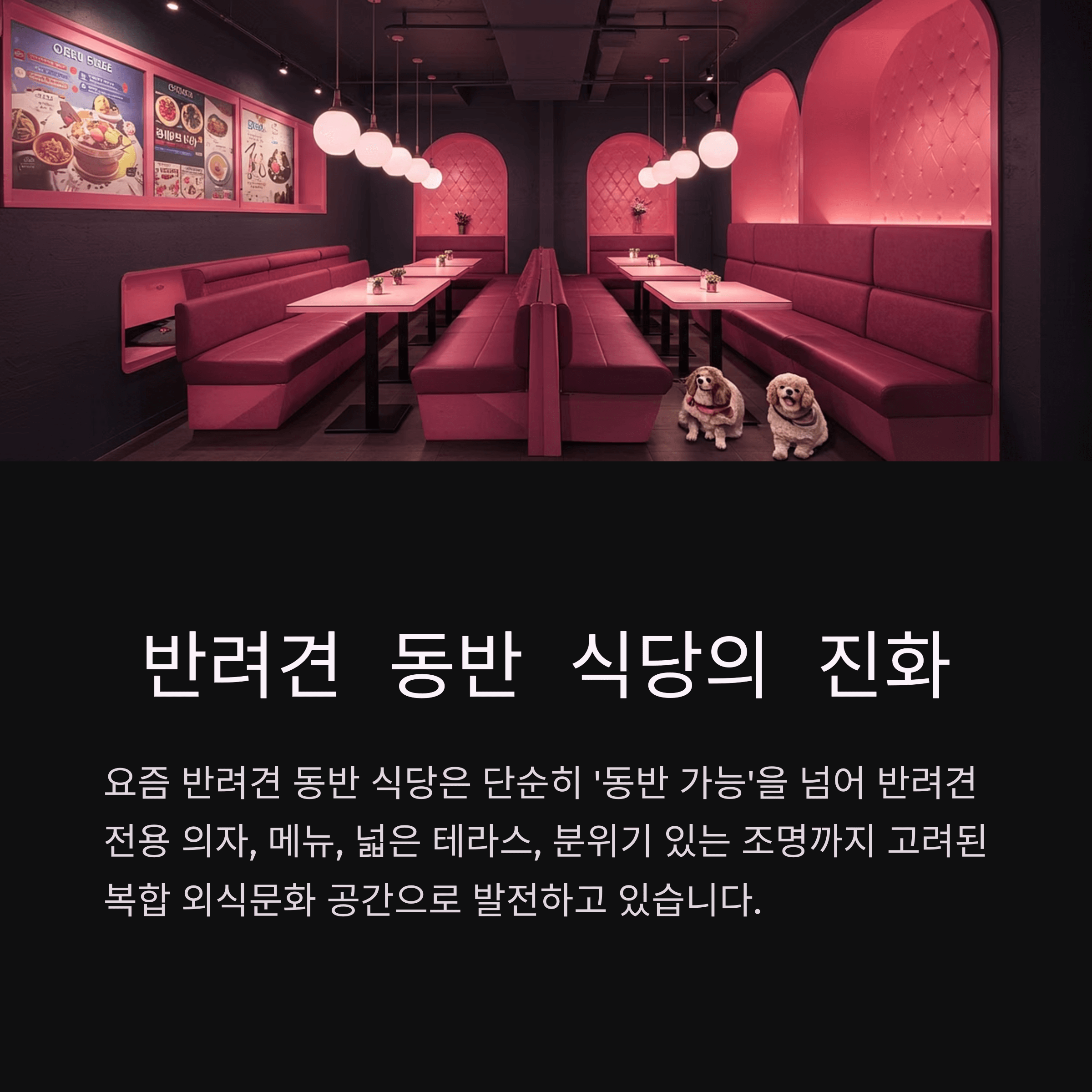 강남구 반려견 동반 식당, 어디까지 가봤니?