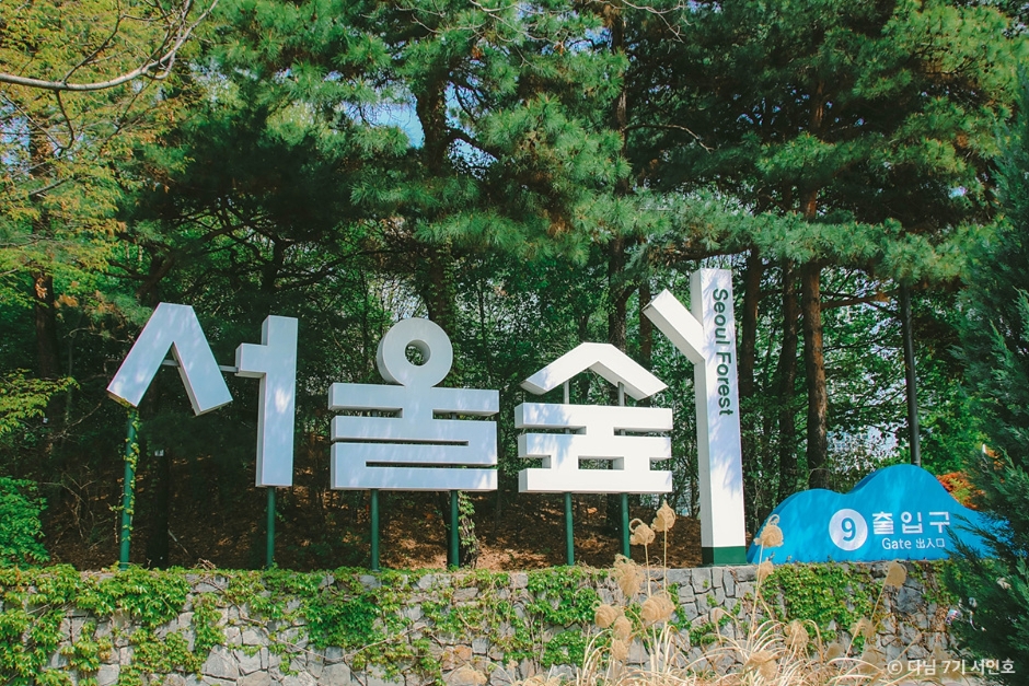 벚꽃