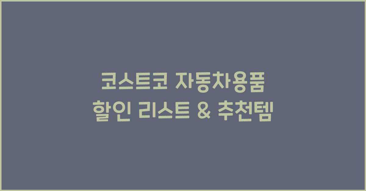 코스트코 자동차용품