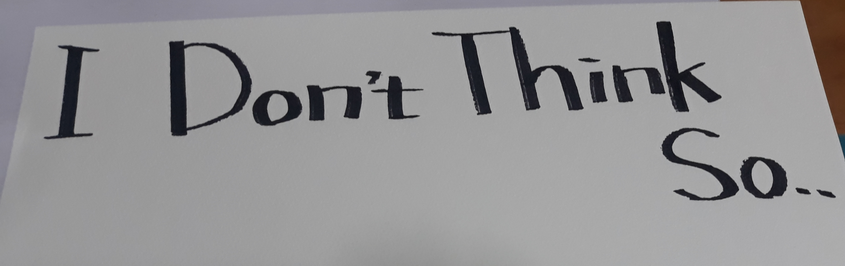 I Don T Think So
