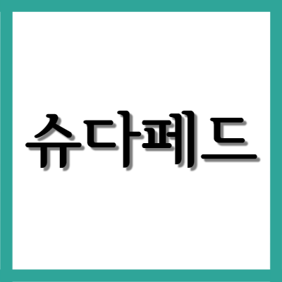  슈다페드정, 먹기 전에 알아야할 내용들