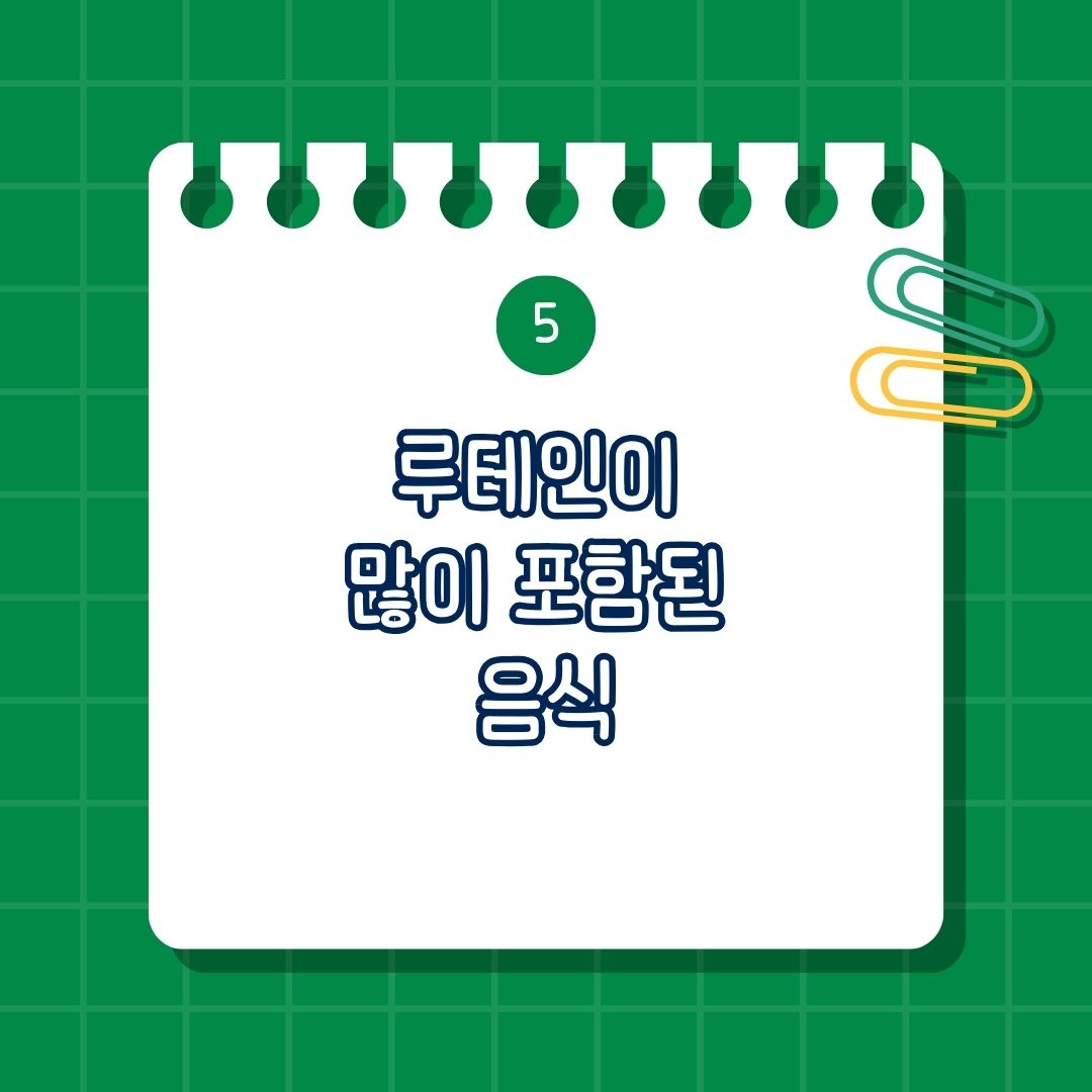 루테인이 많이 포함 된 음식