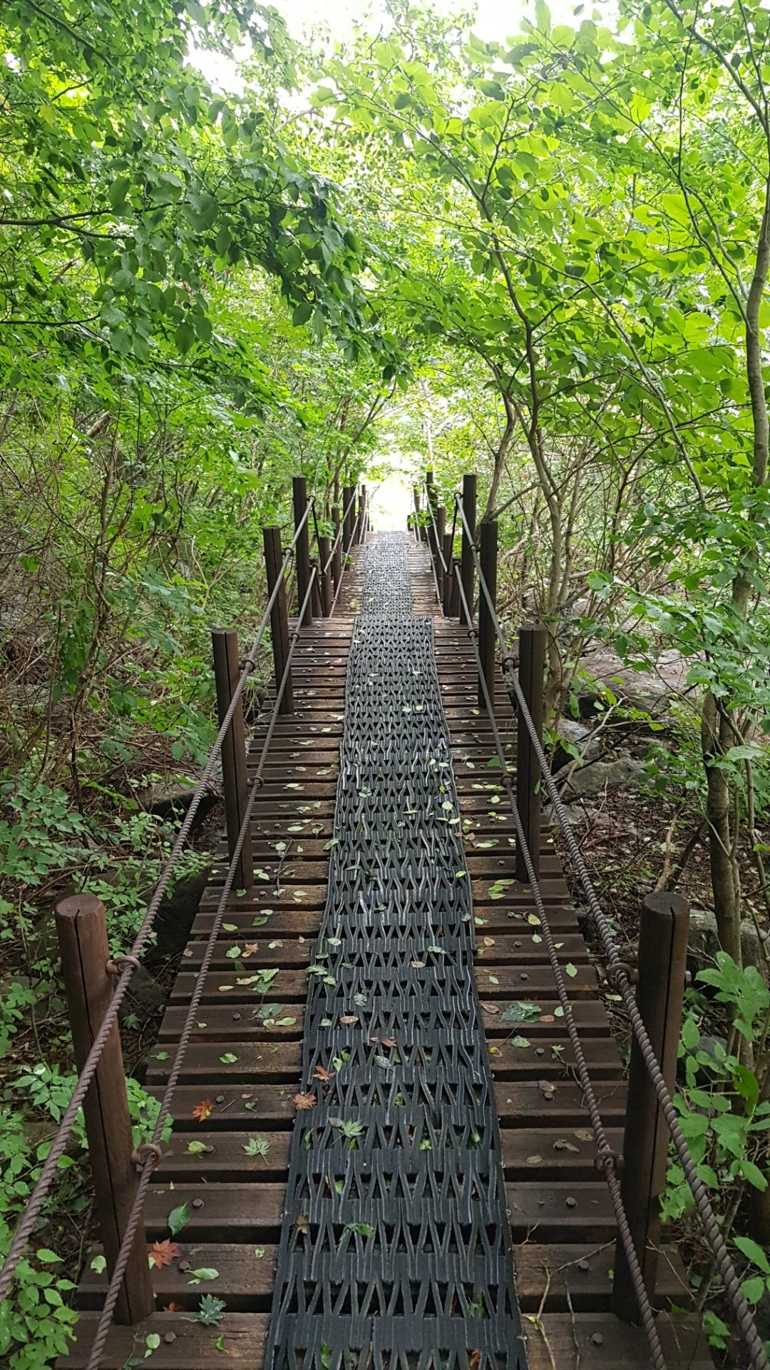 지리산 잘 정비된 길
