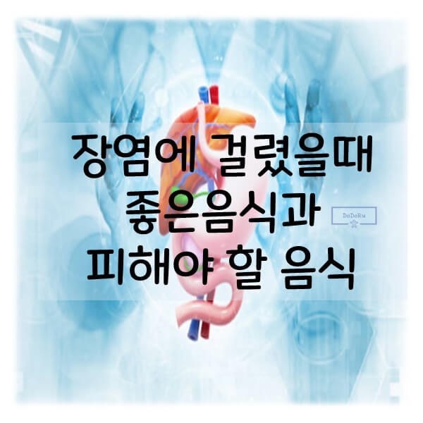 장염에-걸렸을때-좋은음식과-피해야 할 음식