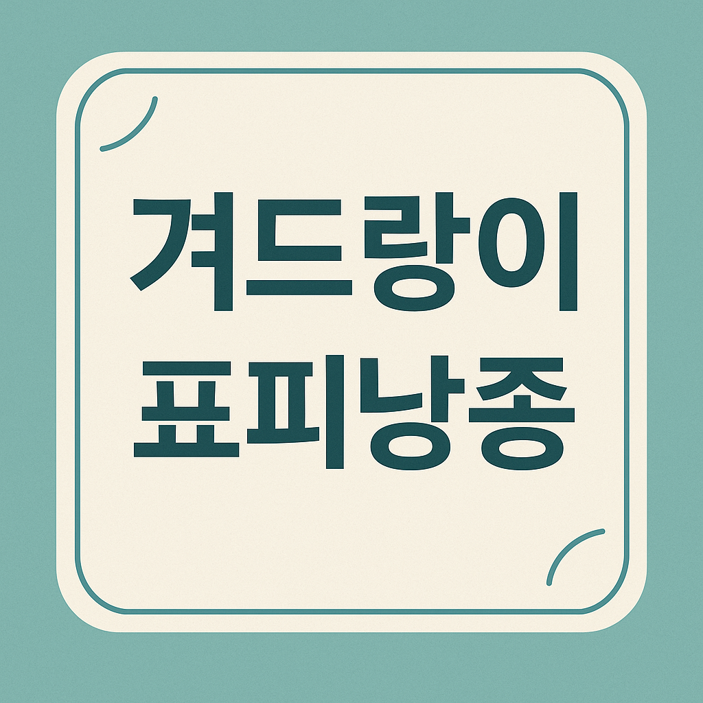 겨드랑이 표피낭종 관련 이미지