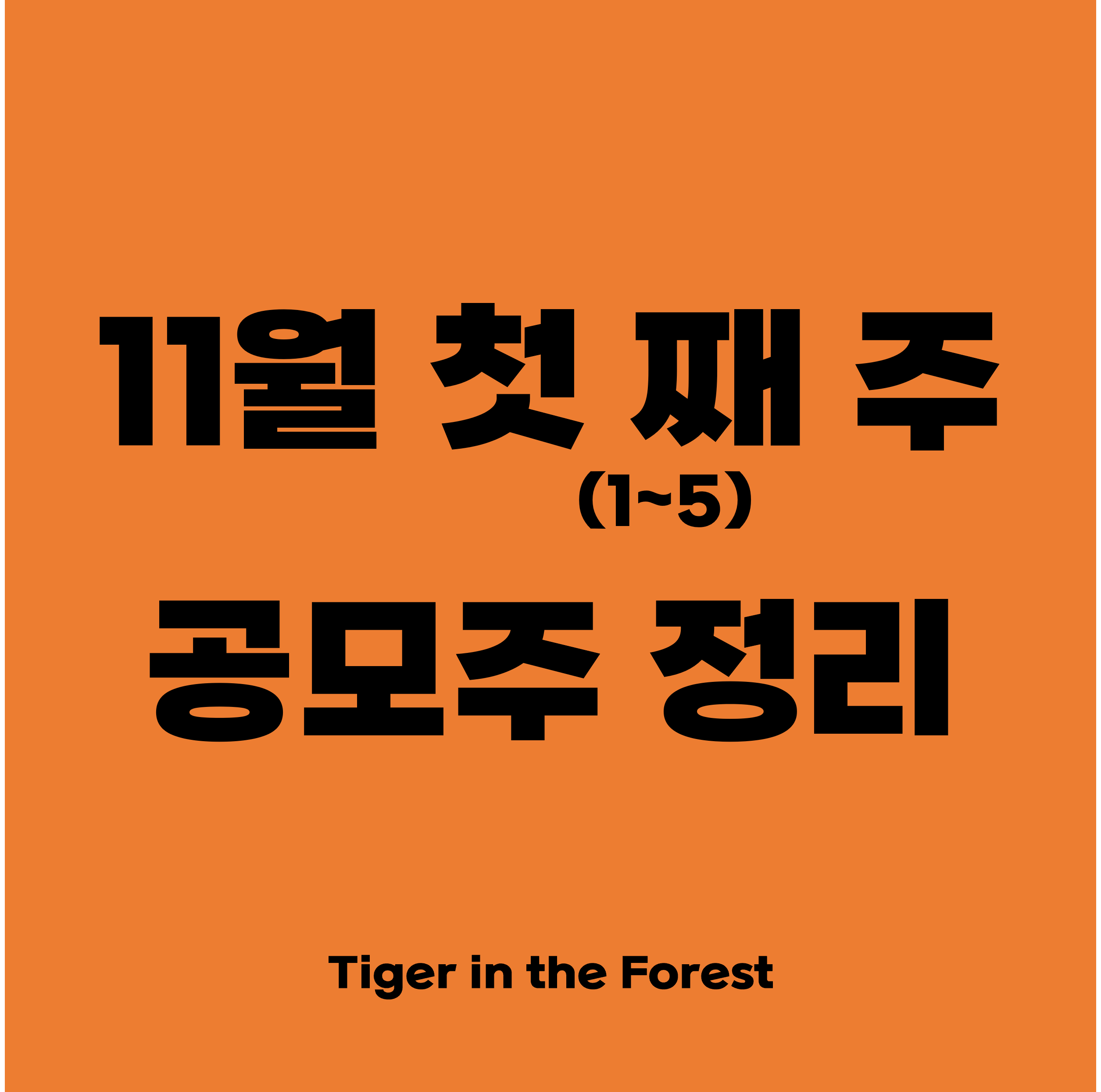  11월 첫째주 (1~5일) 공모주 정리 (아이티아이즈, 디어유, 비트나인, 지오엘리먼트, NH올원리츠, 에스엠상선)