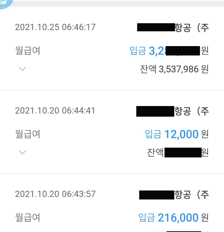  파일럿의 수익