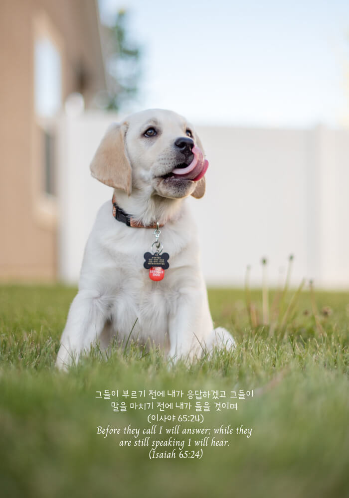 격려와 위로가되는 성경말씀 말씀카드